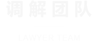 调解团队